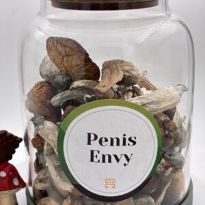 Penis Envy Magične Gljive