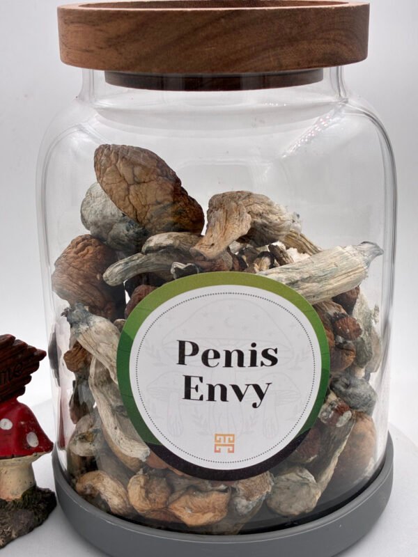 Penis Envy Magične Gljive