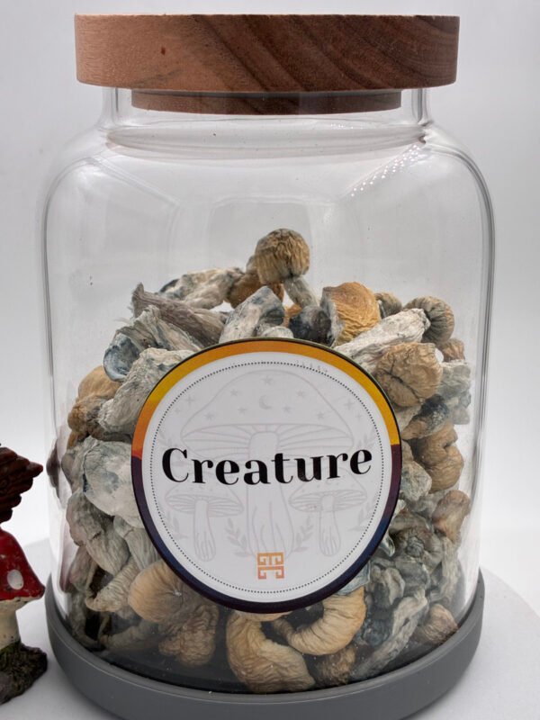 Creature Magične Gljive