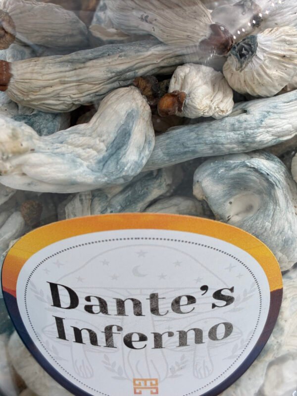 Dante’s Inferno Magične Gljive