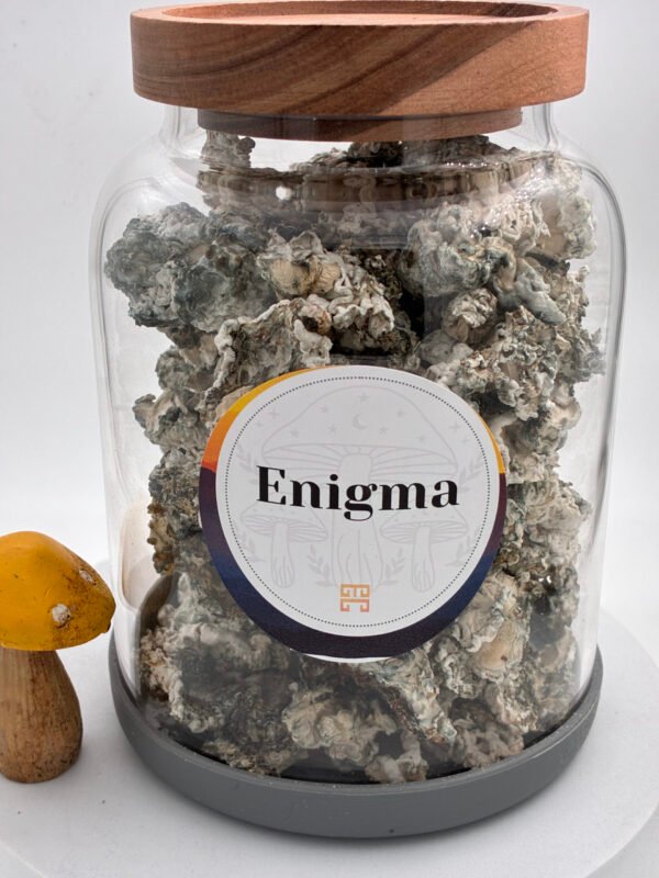 Enigman Magične Gljive