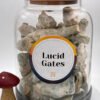 Lucid Gates Magične Gljive