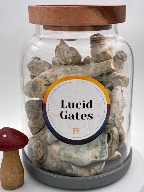 Lucid Gates Magične Gljive