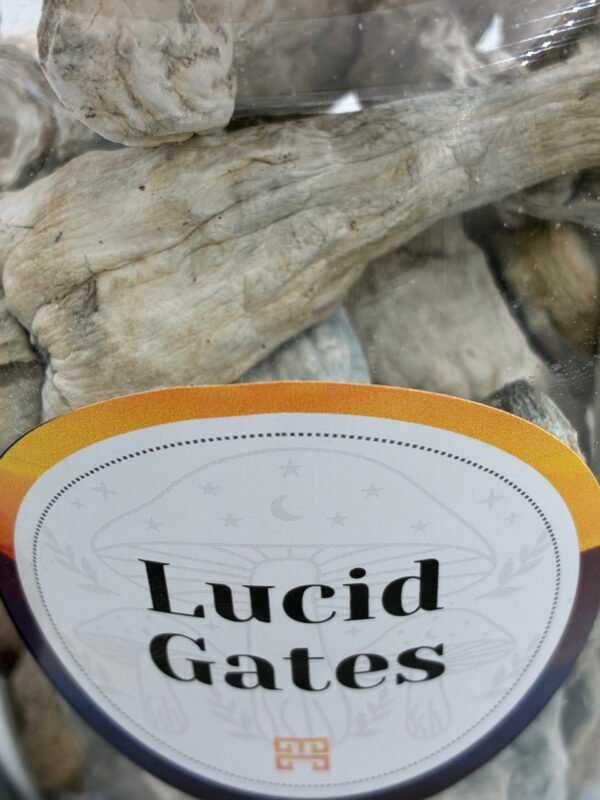 Lucid Gates Magične Gljive