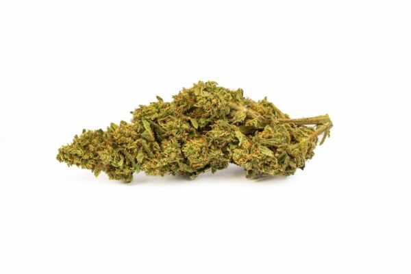CBD cvijet Fantasia