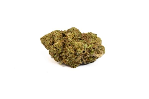 CBD cvijet Monkey