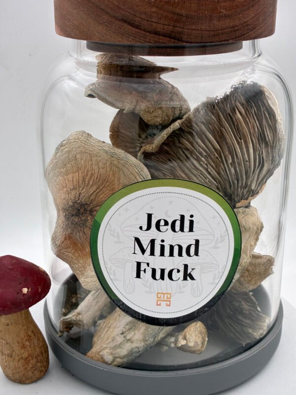 Jedi Mind Fuck Magične Gljive